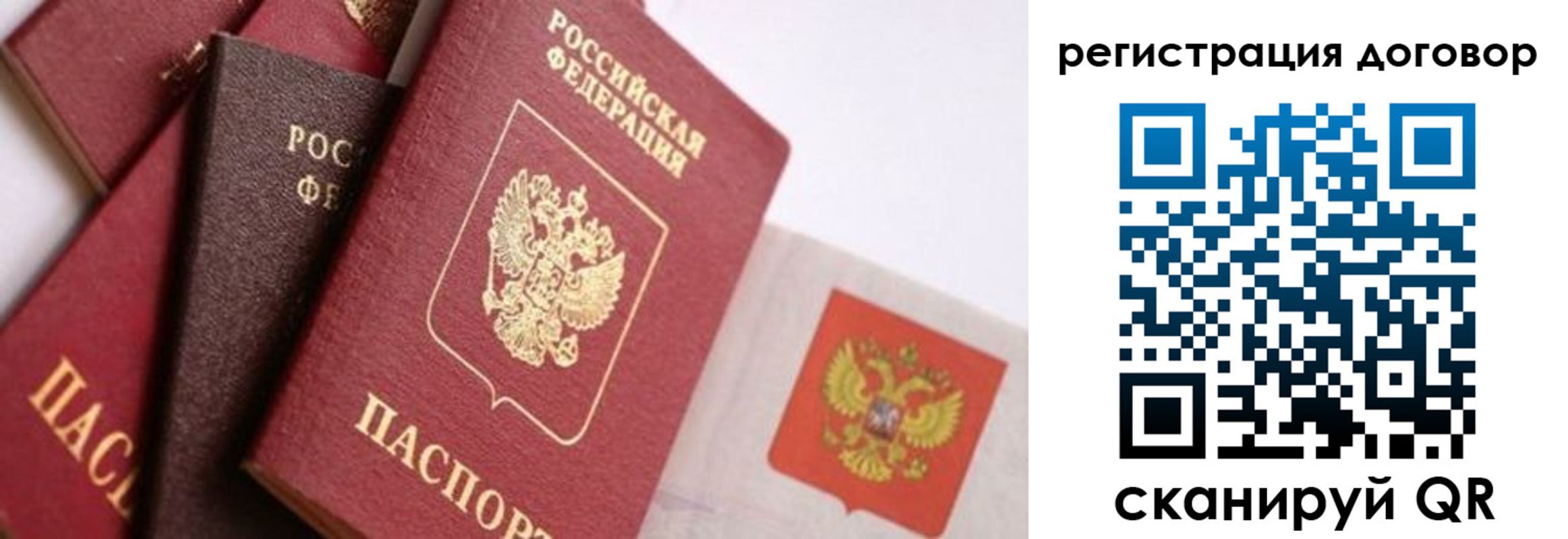 пропишу в квартире в Волгограде